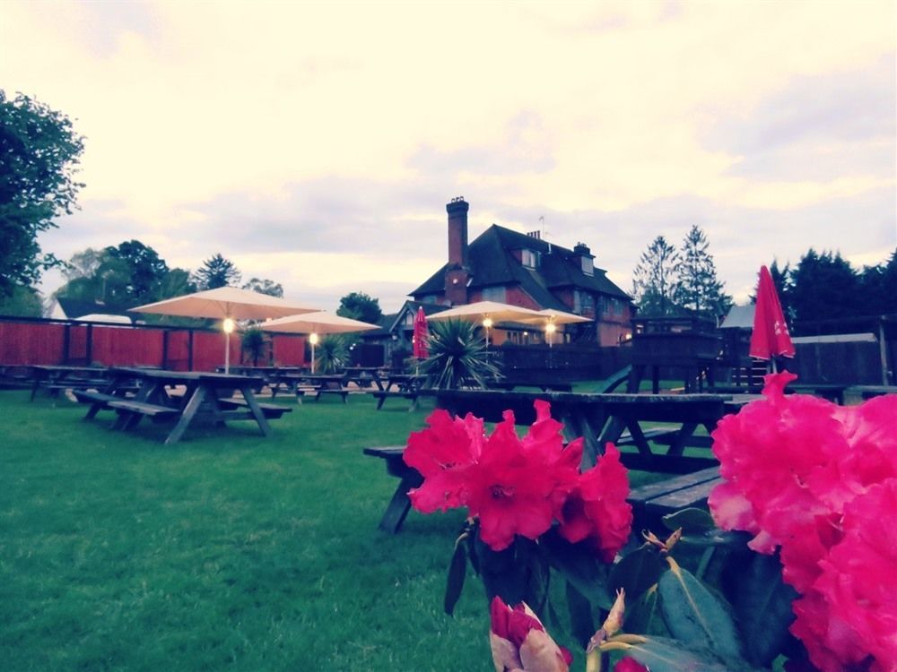 The Star Inn ลิงฟิลด์ ภายนอก รูปภาพ